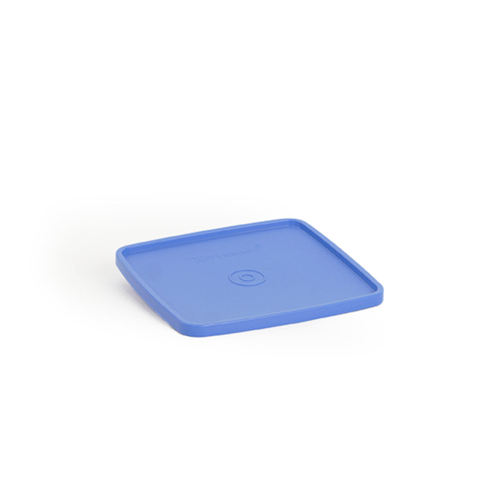 LARGE SQUARE-A-WAY/SEAL – BIRU